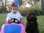 baby and labradoodle puppy 
